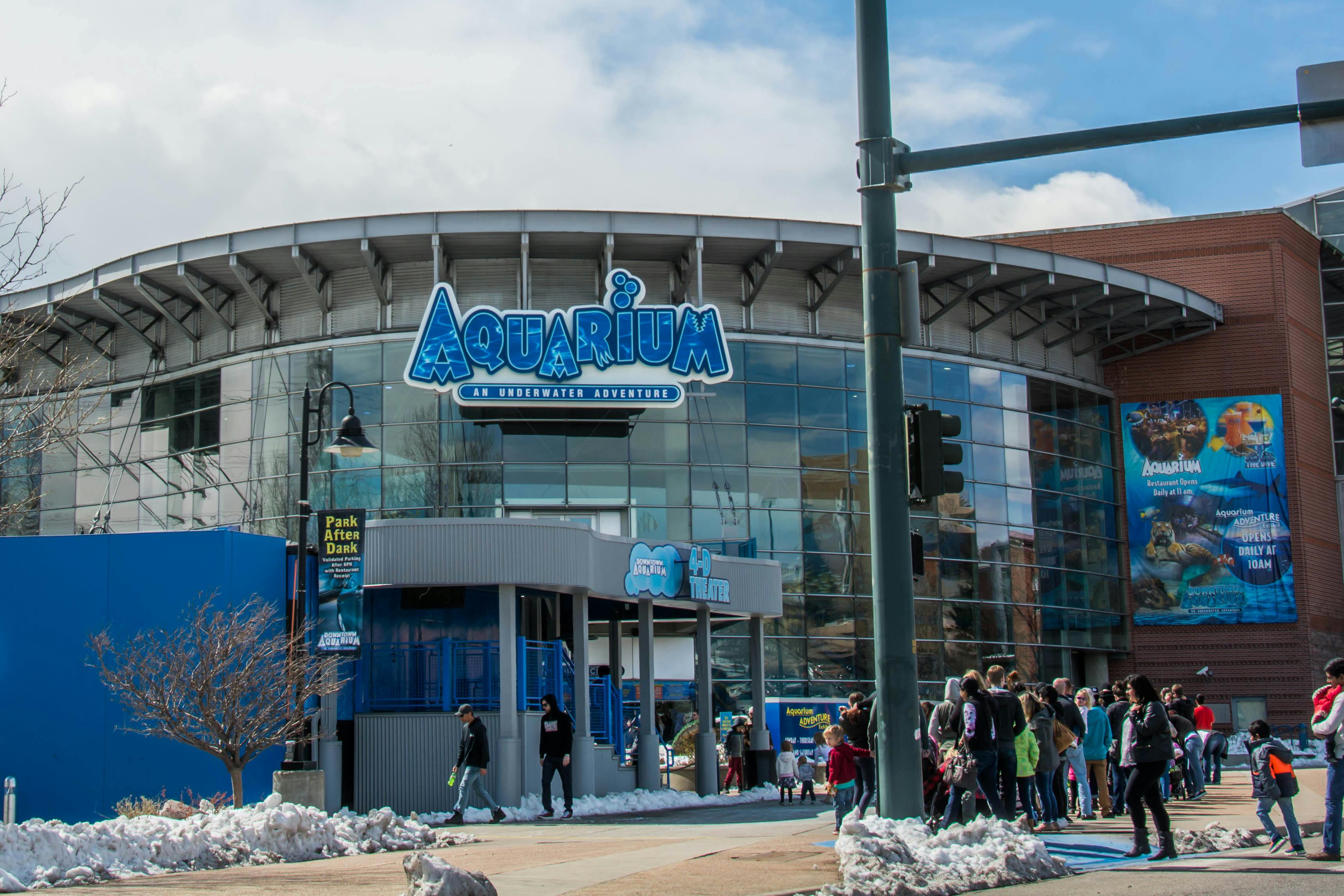 Denver’s 10 Best Theme Restaurants Denver The Infatuation